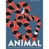 Animal : découpes et animations pour découvrir une faune extraordinaire