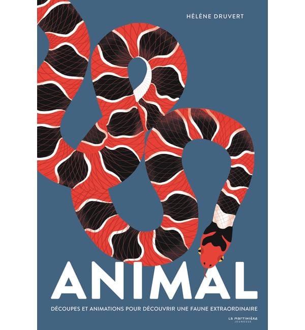 Animal : découpes et animations pour découvrir une faune extraordinaire