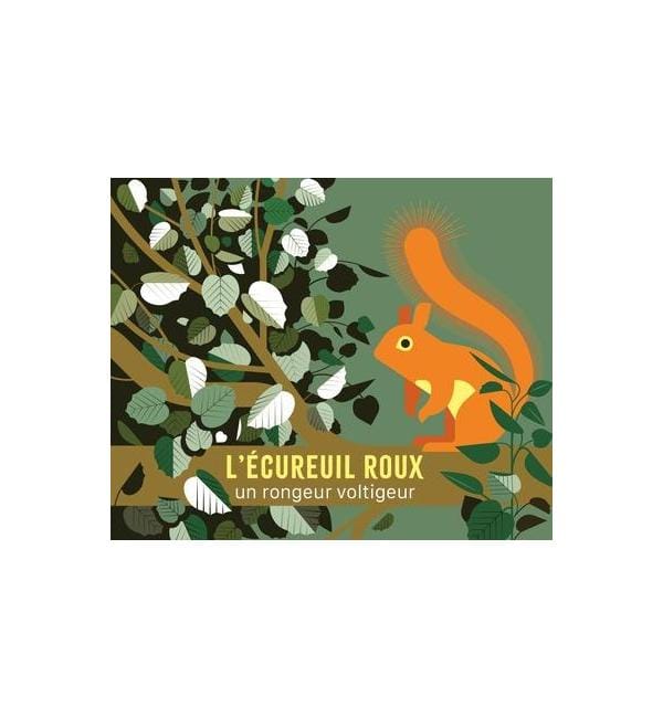 L'écureuil roux : un habile petit rongeur